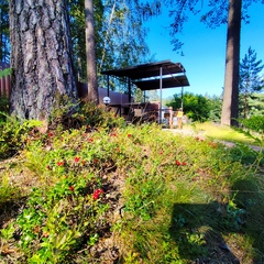 Гостевой дом Мичуринское, Ленинградская область