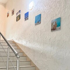 Отель Ольгинка, Краснодарский край