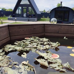 Шале Вместе, Орловская область