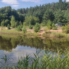 Эко-отель Мыльцевский Бор, Тверская область