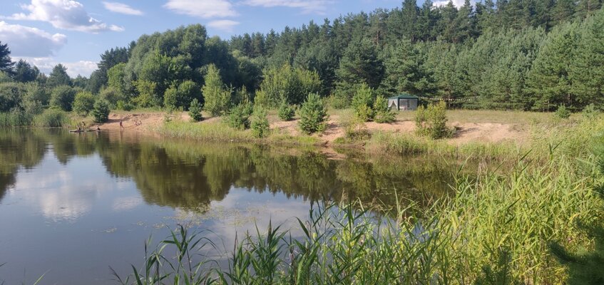 Мыльцевский Бор — фото 4