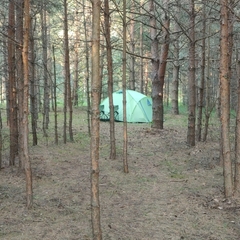 Эко-отель Мыльцевский Бор, Тверская область
