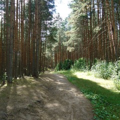 Эко-отель Мыльцевский Бор, Тверская область