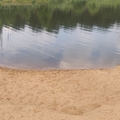 Эко-отель Мыльцевский Бор, Тверская область