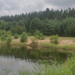 Эко-отель Мыльцевский Бор, Тверская область