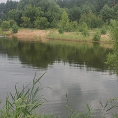 Эко-отель Мыльцевский Бор, Тверская область