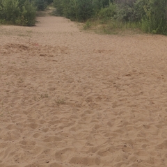 Эко-отель Мыльцевский Бор, Тверская область