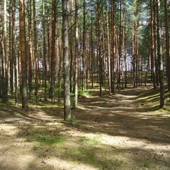 Эко-отель Мыльцевский Бор, Тверская область