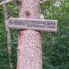 Гостевой дом  StrelkovSki , Республика Карелия