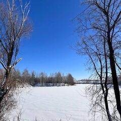 Гостевой дом A-Frame Гнездо, Нижегородская область