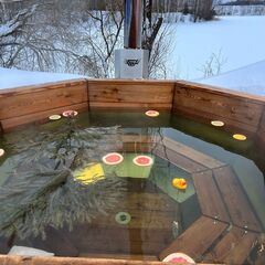 Гостевой дом A-Frame Гнездо, Нижегородская область