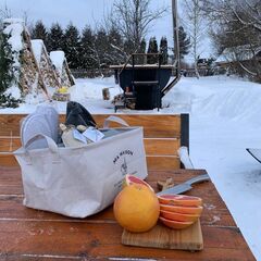 Гостевой дом A-Frame Гнездо, Нижегородская область