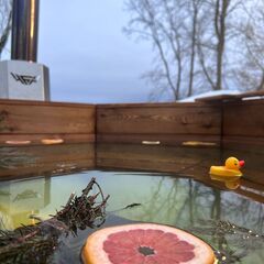 Гостевой дом A-Frame Гнездо, Нижегородская область