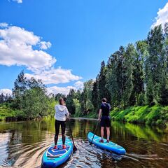 Гостевой дом A-Frame Гнездо, Нижегородская область