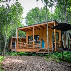 Загородный комплекс Мишка на прудах, Ленинградская область