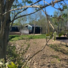 Загородный комплекс Мишка на прудах, Ленинградская область