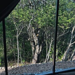 Загородный комплекс Мишка на прудах, Ленинградская область