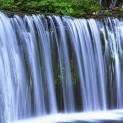 Загородный комплекс Мишка на прудах, Ленинградская область