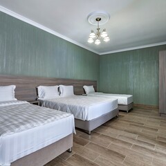 Гостевой дом VIZANTIA Шереметьево Москва, Московская область