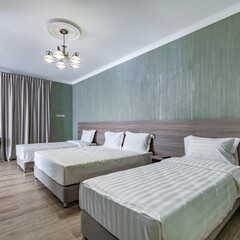 Гостевой дом VIZANTIA Шереметьево Москва, Московская область