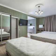 Гостевой дом VIZANTIA Шереметьево Москва, Московская область