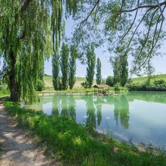 База отдыха Эко Базель, Республика Карачаево-Черкесия 