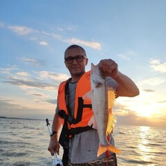 База отдыха Горка, Новгородская область