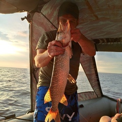 База отдыха Горка, Новгородская область