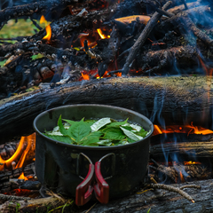 База отдыха Затерянный КуМир. Уединенных отдых в горах Алтая, Алтайский край