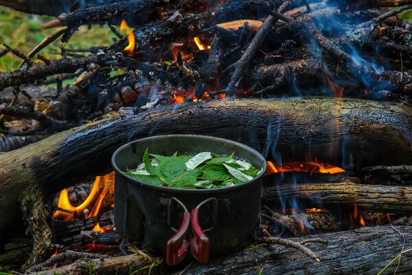 Затерянный КуМир. Уединенных отдых в горах Алтая — фото 5