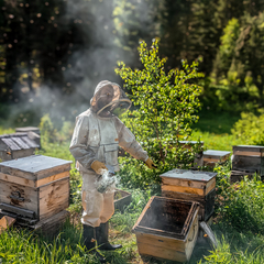 База отдыха Затерянный КуМир. Уединенных отдых в горах Алтая, Алтайский край