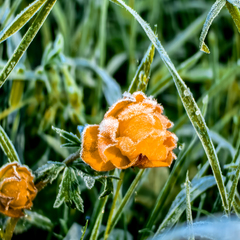 База отдыха Затерянный КуМир. Уединенных отдых в горах Алтая, Алтайский край