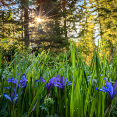 База отдыха Затерянный КуМир. Уединенных отдых в горах Алтая, Алтайский край