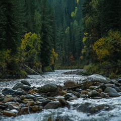 База отдыха Затерянный КуМир. Уединенных отдых в горах Алтая, Алтайский край