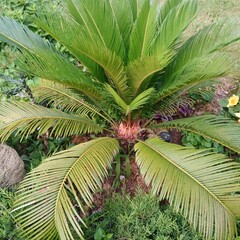 Гостевой дом Марион, Краснодарский край