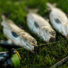 Рыболовная база Nord Fisher, Архангельская область