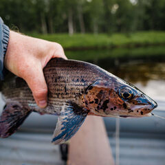 Рыболовная база Nord Fisher, Архангельская область