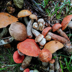 Рыболовная база Nord Fisher, Архангельская область