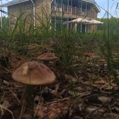 Эко-комплекс 12 месяцев, Нижегородская область