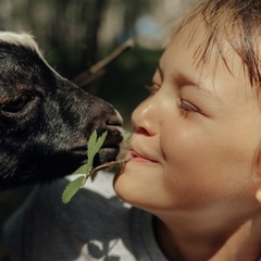 Эко-комплекс 12 месяцев, Нижегородская область