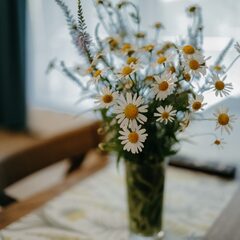 Эко-комплекс 12 месяцев, Нижегородская область