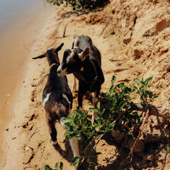 Эко-комплекс 12 месяцев, Нижегородская область