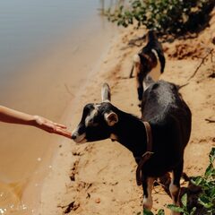 Эко-комплекс 12 месяцев, Нижегородская область