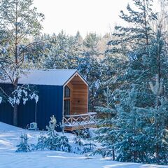 Глэмпинг Дом в Лесу, Доброград , Владимирская область