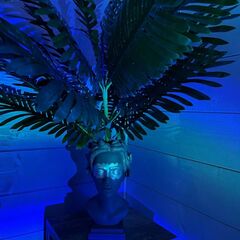 Гостевой дом Пушка, Тульская область