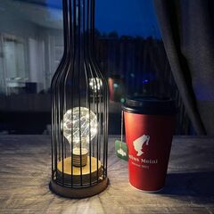 Гостевой дом Пушка, Тульская область