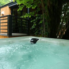 Глэмпинг Енот, Краснодарский край