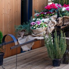 Глэмпинг Енот, Краснодарский край