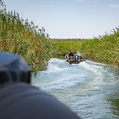 База отдыха Абрау-Дюрсо на плавнях, Краснодарский край