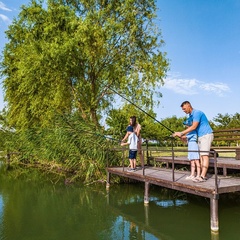 База отдыха Абрау-Дюрсо на плавнях, Краснодарский край